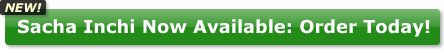 Sacha Inchi Now Available: Order Today!